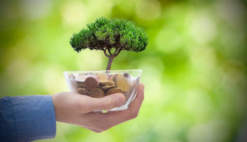 Duurzaamheidsmanagement